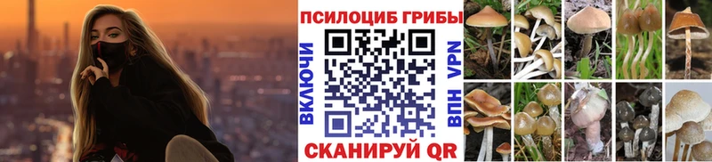 Галлюциногенные грибы GOLDEN TEACHER Жуковский